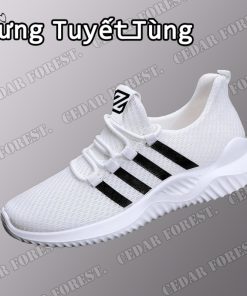 Rừng Tuyết Tùng☘Giày thể thao nam dây buộc