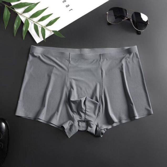 Quần Sịp Nam Tàng Hình Đùi Đúc Su Thun Lụa Ép Lạnh-thoitrangcenter