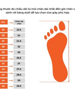 giày asean dùng chạy bộ