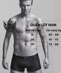 quần lót nam cao cấp chất thun lạnh kháng khuẩn co giãn 4 chiều phong cách nam tính  Faapas - ARES SHOP-thoitrangcenter
