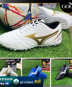 Size 36 đến size 48