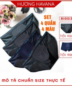 Set 4 quần lót nam thông hơi - quần sịp nam tam giác đùi nhật bản - có size lớn MLQ01-thoitrangcenter